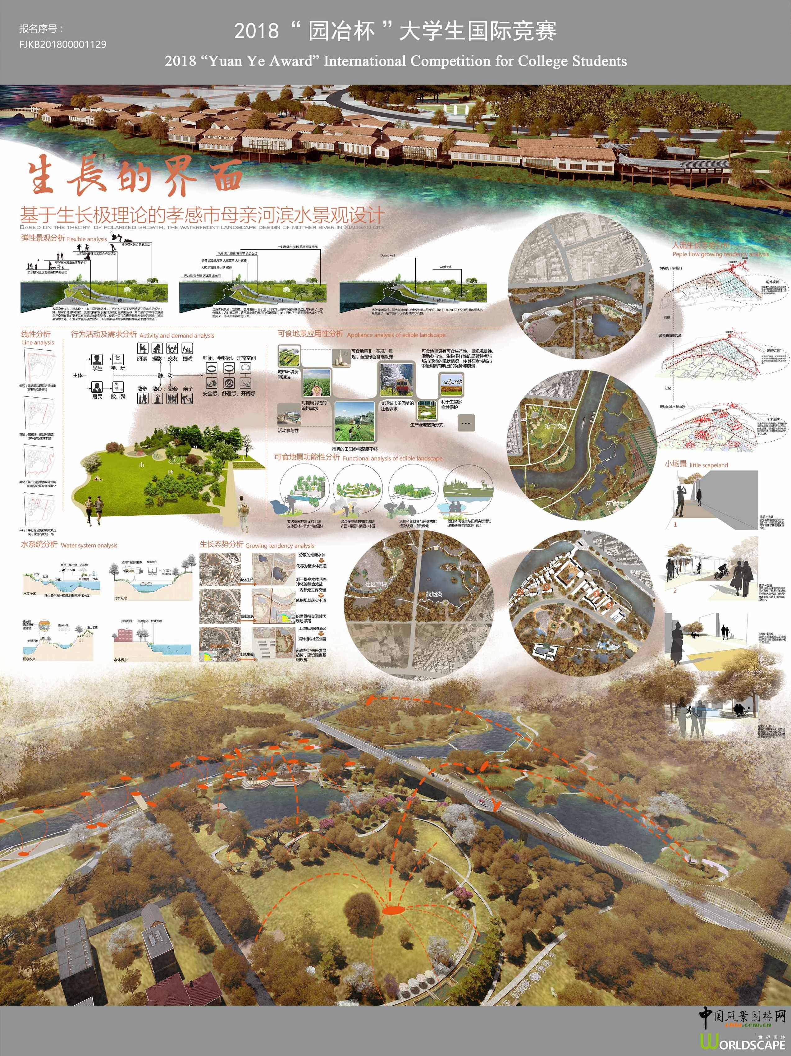 生长与设计 复杂性视角下的智慧城市