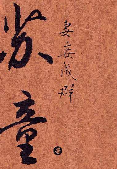 妻妾成群_乐儿（480全集）