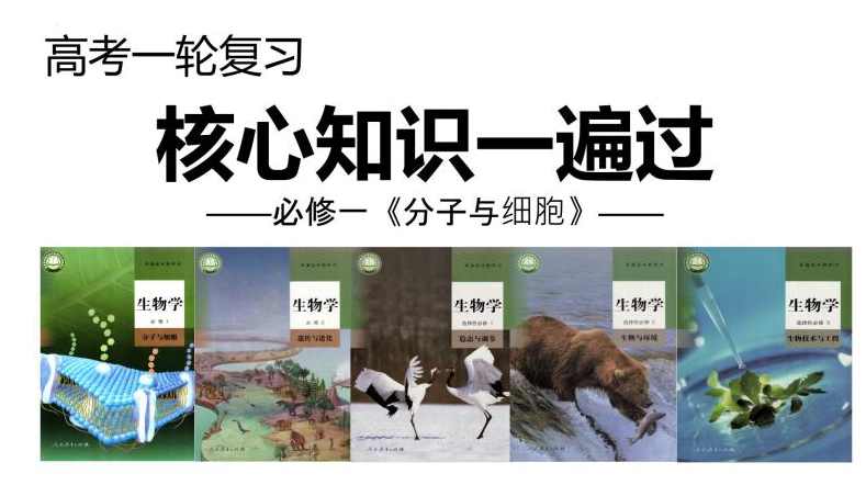 高考复习 2013年高考生物冲刺提分复习 北京四中网校