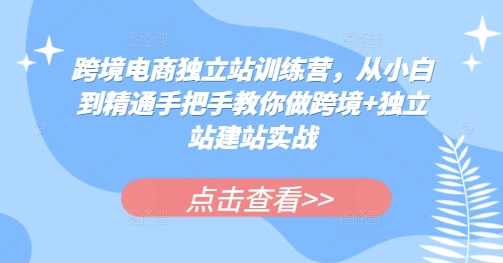 跨境电商独立站训练营，从小白到精通手把手教你做跨境+独立站建站实战