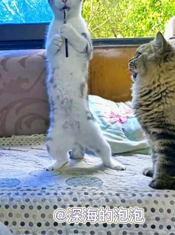 喂-你就是个魔鬼(下部) （播音-七①) 全64集