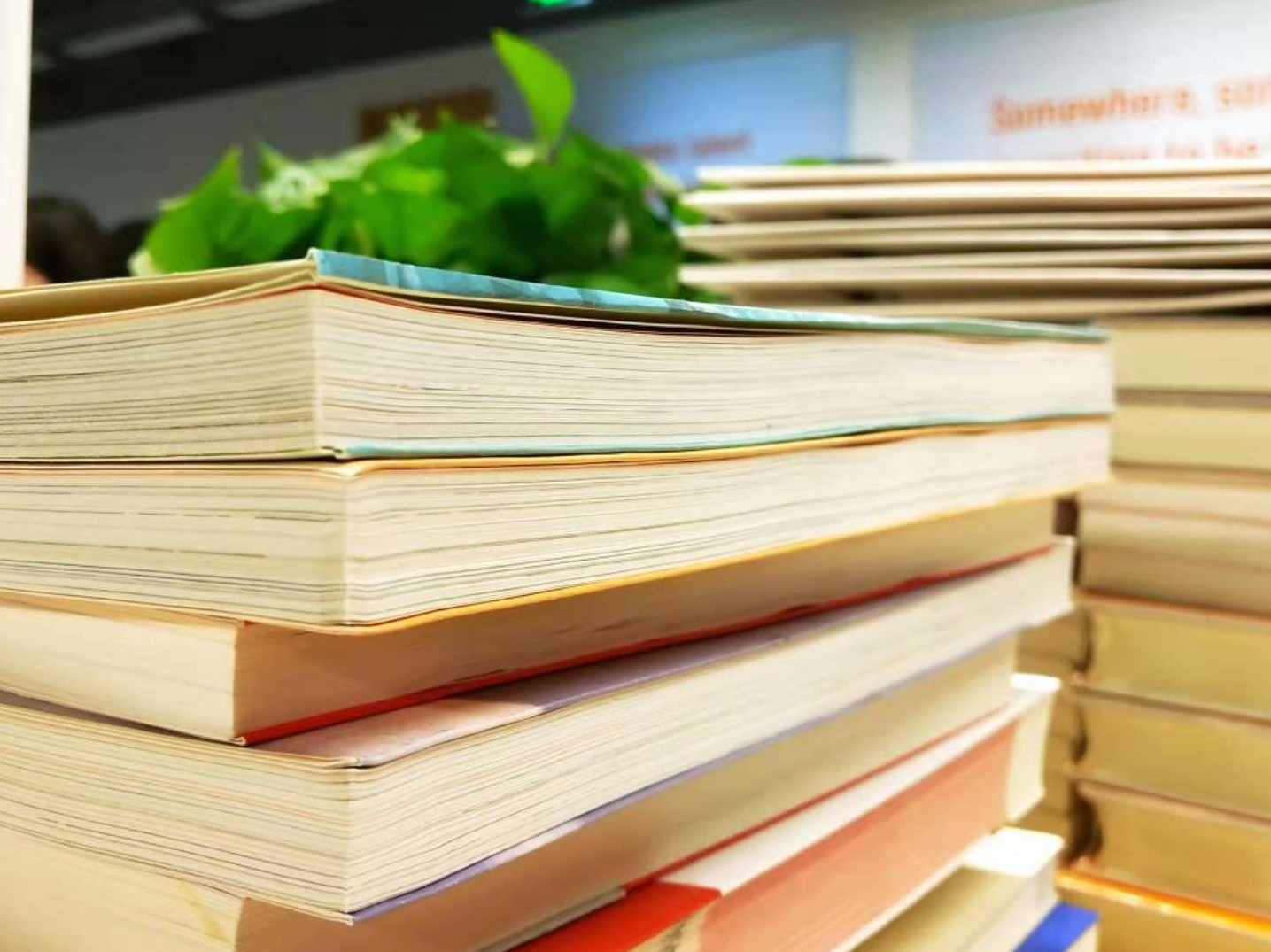 吕晶莹 高考语文总复习年卡（一轮+二轮）（通用版）33讲+文本及课后作业,课程,理解,小说,第1张