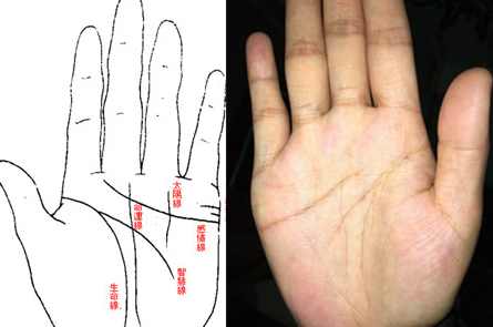 王晨霞 手会说话-掌纹的秘密