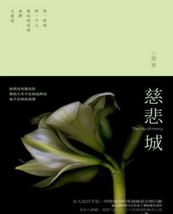 说书小说 慈悲城,坚持,小说,第1张