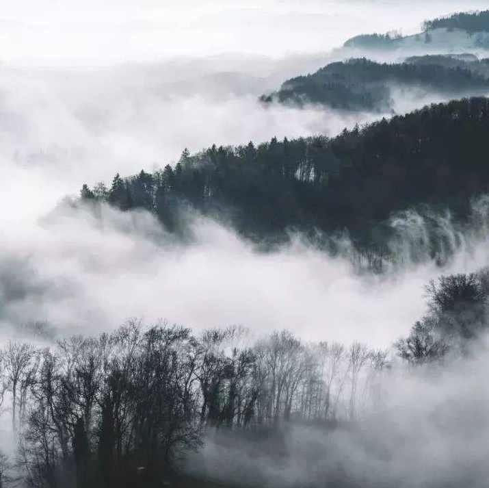 国学经典 道德经智慧100讲