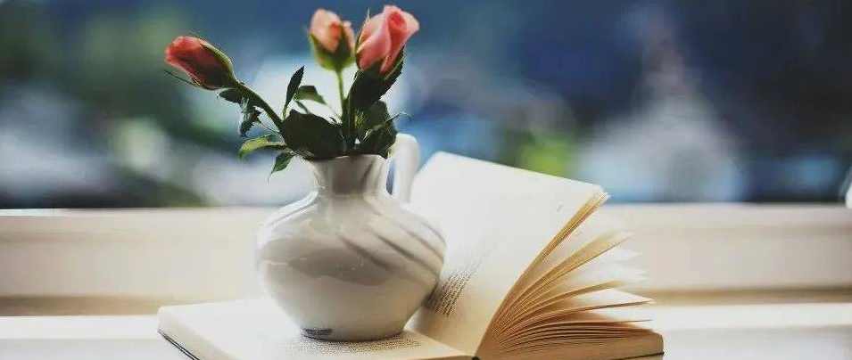 【读书】轻疗愈,学习,管理,理解,健康,平衡,第1张