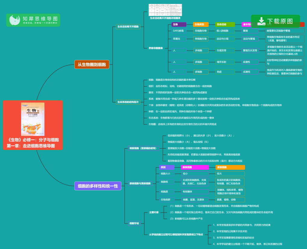 高中生物 生物必修1预习领先班（人教版）全18讲,课程,理解,沟通,合作,第1张