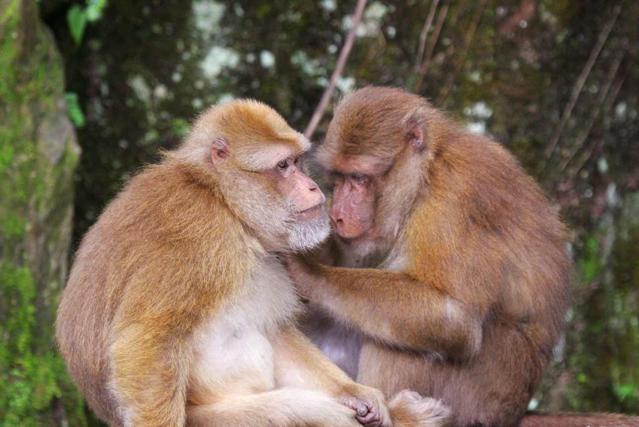 熊铁基-老子其人其书及其道论