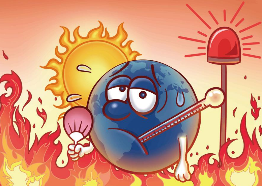 张玉梅-食品安全与用药的矛盾