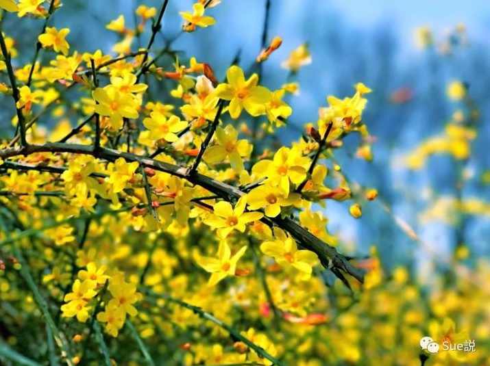 陈玉琴-女性疾病的防治与保健,第1张