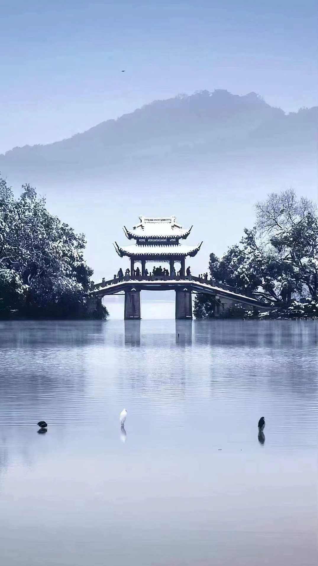 金嘉锡 庄子全33讲