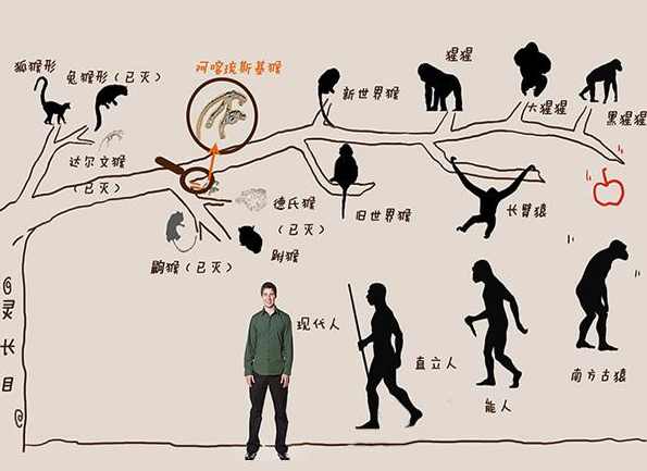 人类起源 人类诞生记录片