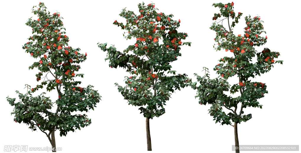 茶树网学院PS学习系列10天自学教程(带素材),课程,学习,第1张