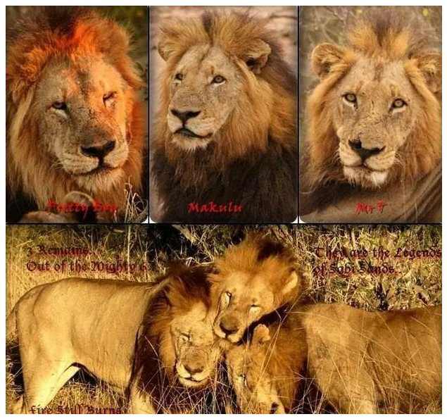 【坏男孩】小白恋爱教程飞跃计划