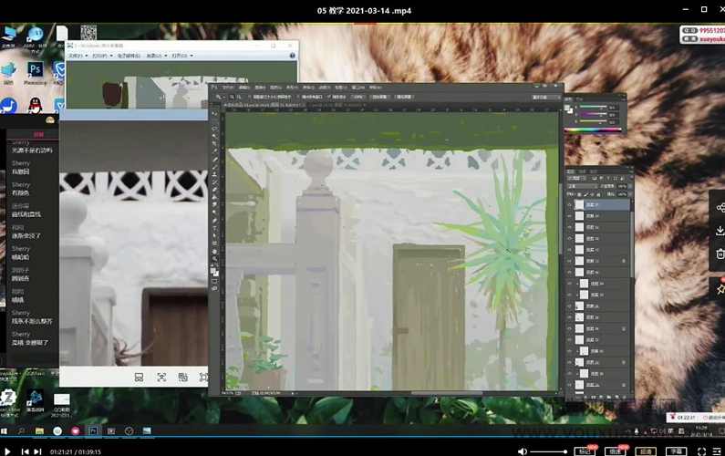 【小野菊】板绘色彩基础2021年3月结课【画质不错有课件】,第4张