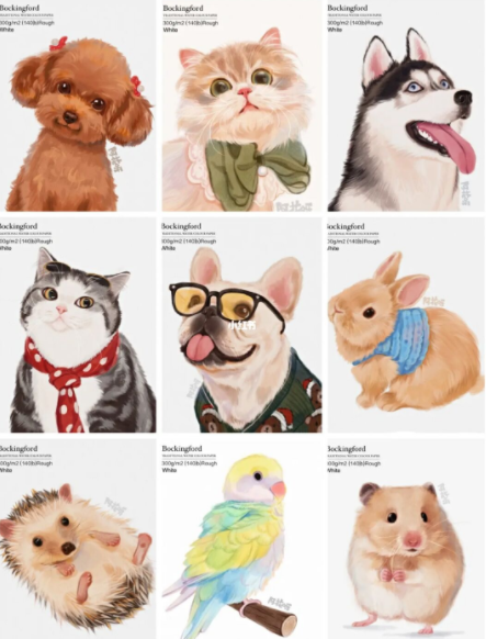 阿花宠物团练2021年7月ipad插画