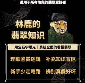 林鹿的翡翠知识，用宝石眼光，系统全面的看懂翡翠,课程,专业,理解,直播,第1张