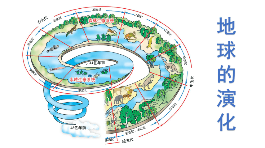 专家团 地球成长史