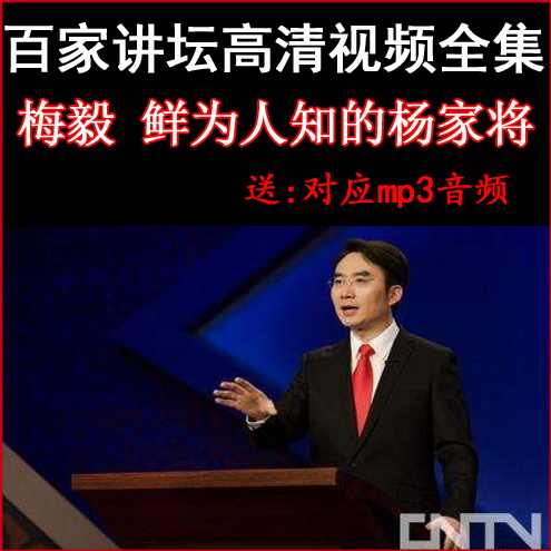 梅毅 鲜为人知的杨家将,小说,忠诚,第1张