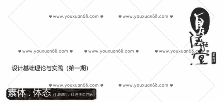 蚂蚁八手王素体体态2020有课件