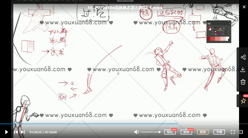 蚂蚁八手王素体体态2020有课件,学习,理解,第4张