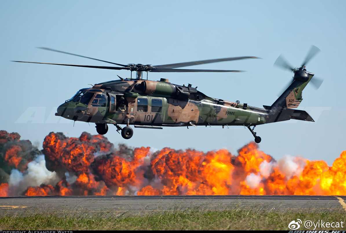 《黑鹰基地WindowsServer2003系列视频教程》