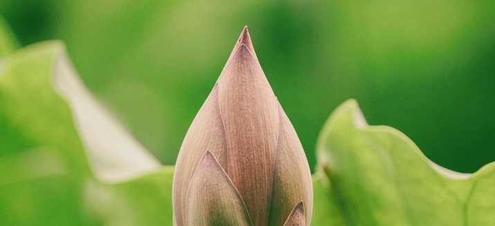 周汝昌 儒道今释-唐诗宋词赏鉴