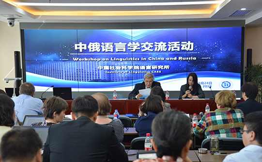 专家团 语言的方程