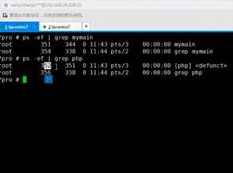 深入学习swoole进程开发管理全套教学视频课程（21集）