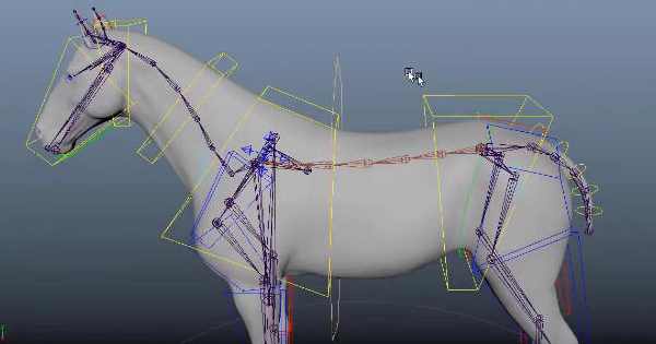 坐标绑定【画质高清有素材】