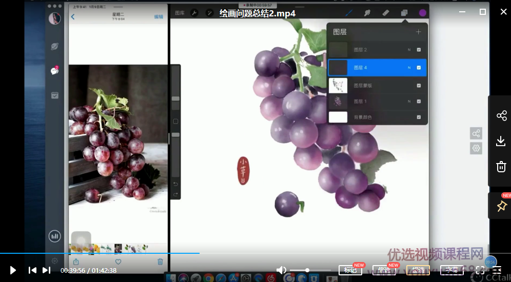 蓉儿ipad水彩插画课基础水果花卉+进阶冷饮蛋糕2020年,学习,第4张