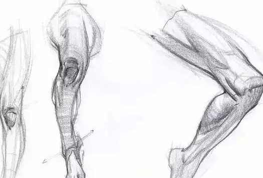 大木画画2022人体结构第五期【画质不错只有视频】