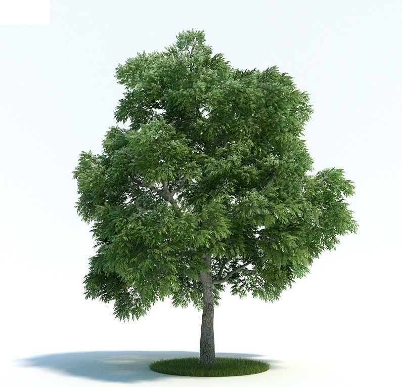 《3DMAX素材库》110CD大全