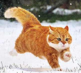 亲切第一张蕾C1第二期+色彩美学课程2022年【画质高清有素材】,课程,第1张