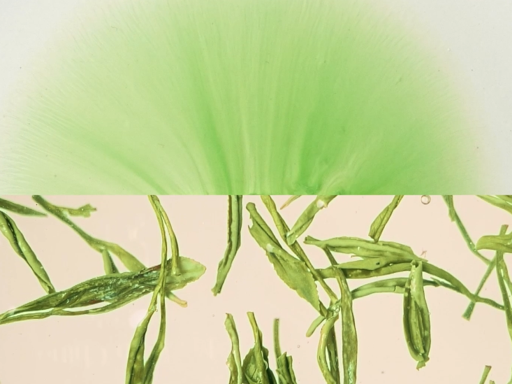 原版视频 精品毛家菜制作技术视频合集