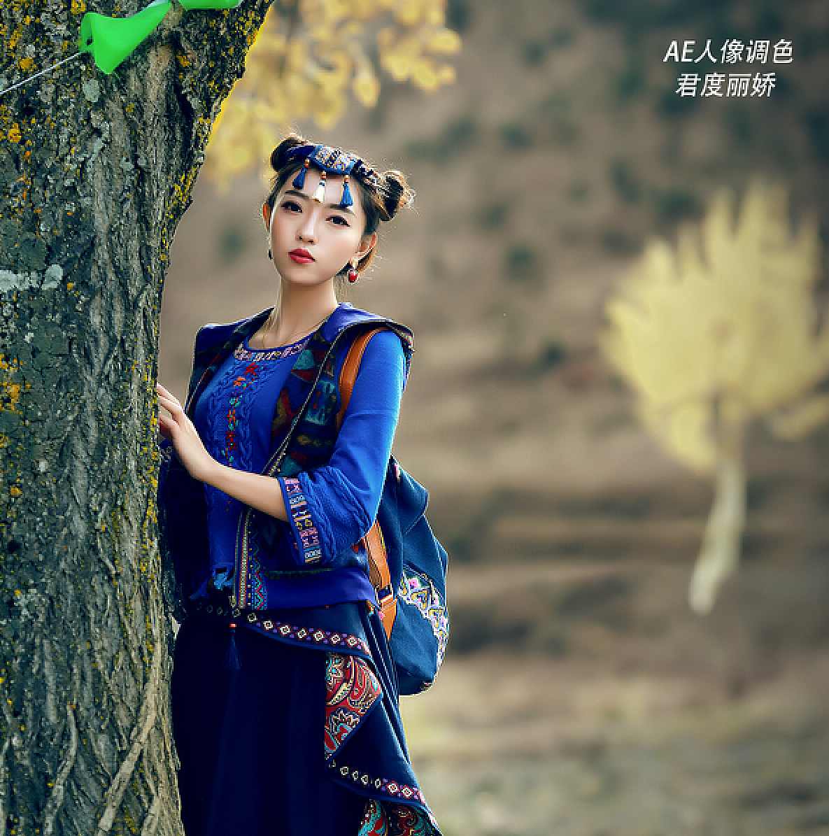 《锐风行教你学AE调色》