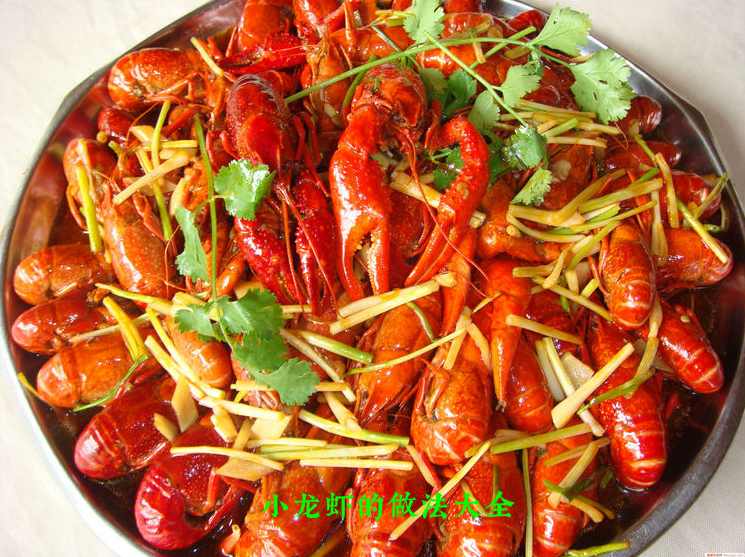 小龙虾的做法大全_麻辣小龙虾，波士顿龙虾等