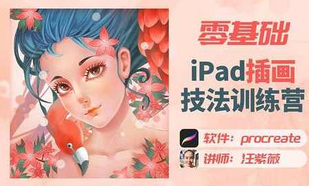 汪紫薇零基础IPAD插画技法实训2022年,课程,第1张