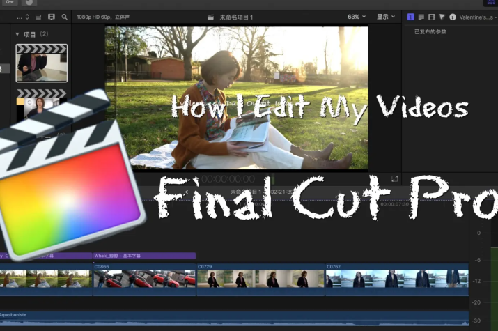 FCPX从入门到大神剪辑教程