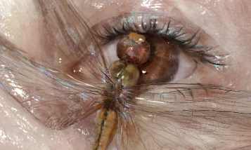 大块的art绘画课2023年