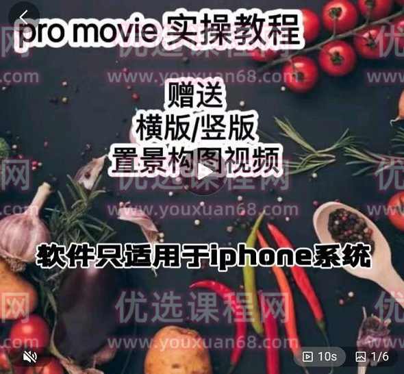 漆十二美食摄影，25​节promovie实操高手课