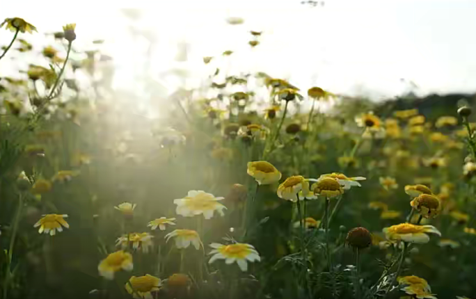 微醺十月摄影班2022年2月结课【画质一般只有视频】,课程,沟通,摄影,第1张