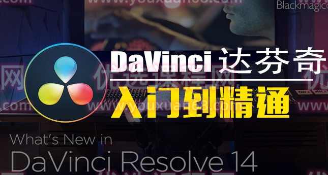 神鹰达芬奇入门到精通课程