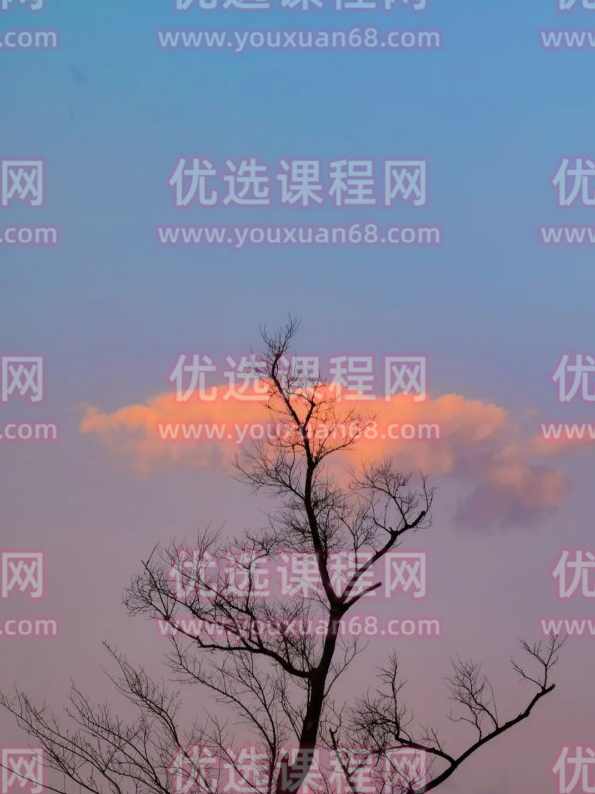 手机摄影技巧-零基础学会用手机拍出极致风光大片