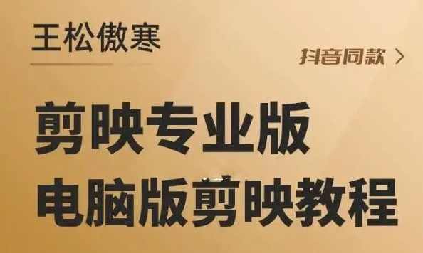 王松傲寒剪映专业版教学,课程,专业,理解,第1张