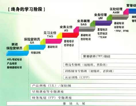 保险营销 内训-如何对保险新人进行有效辅导一,第1张