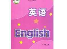 苏教译林版初二(八年级)英语上册同步视频教学网课（上学期 24集全）