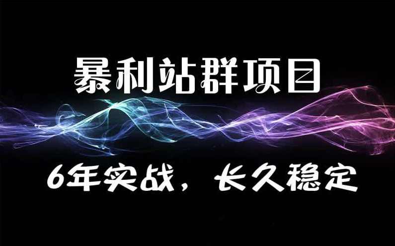 暴疯团队VIP站群赚钱项目培训-真正自动化赚钱项目,课程,学习,管理,理解,团队,第2张
