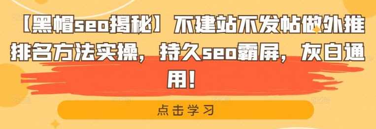 【黑帽seo揭秘】不建站不发帖做外推排名方法实操，持久seo霸屏，灰白通用,SEO,第1张