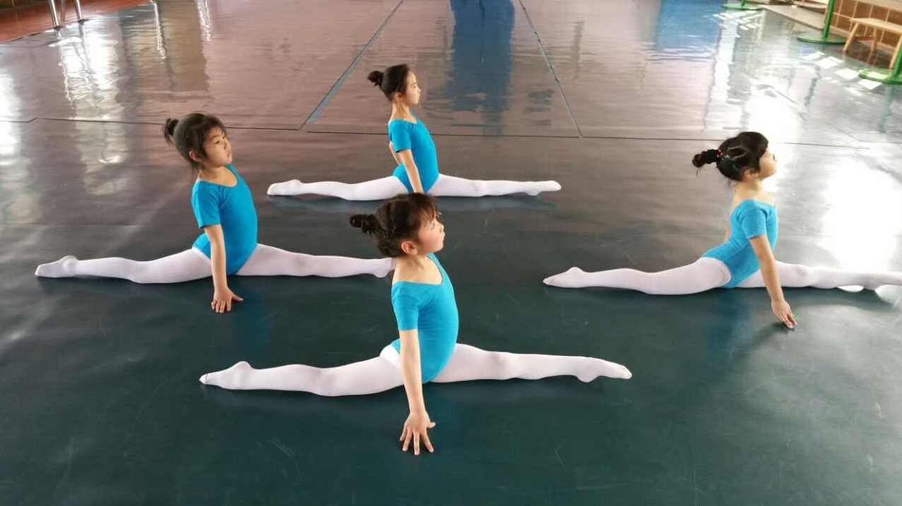 早教教程 《儿童舞蹈》120首卡拉OK版 少儿舞蹈视频清晰版